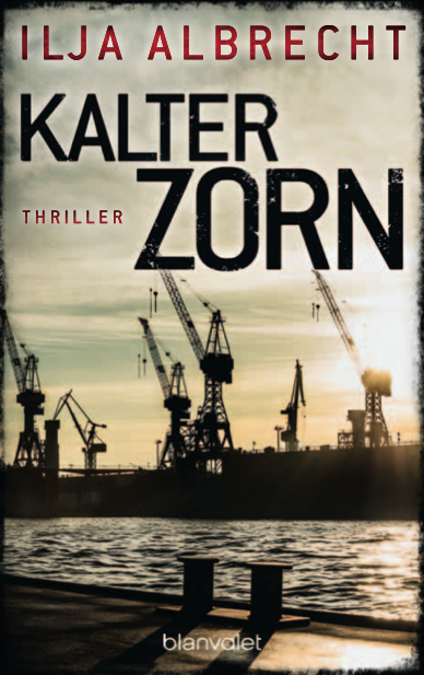 write_ColdFury_cover-large Ilja Albrecht Zweiter Krimi Kalter Zorn